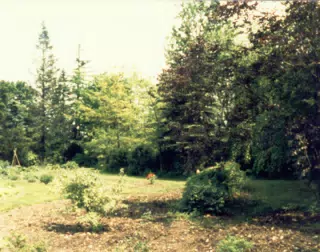 Gardens on Gratwick Estate