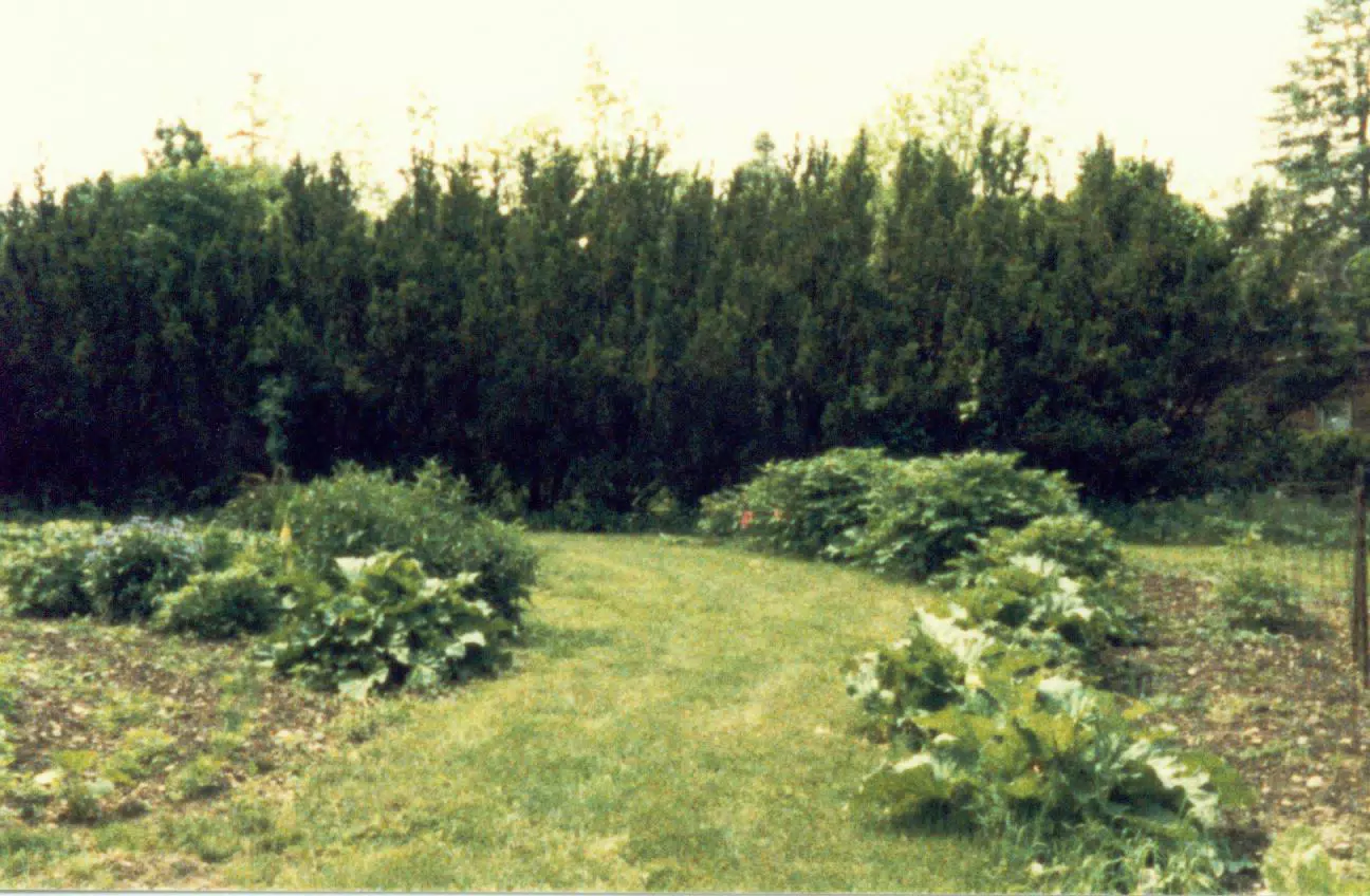 Gardens on Gratwick Estate