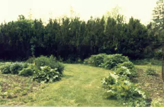 Gardens on Gratwick Estate