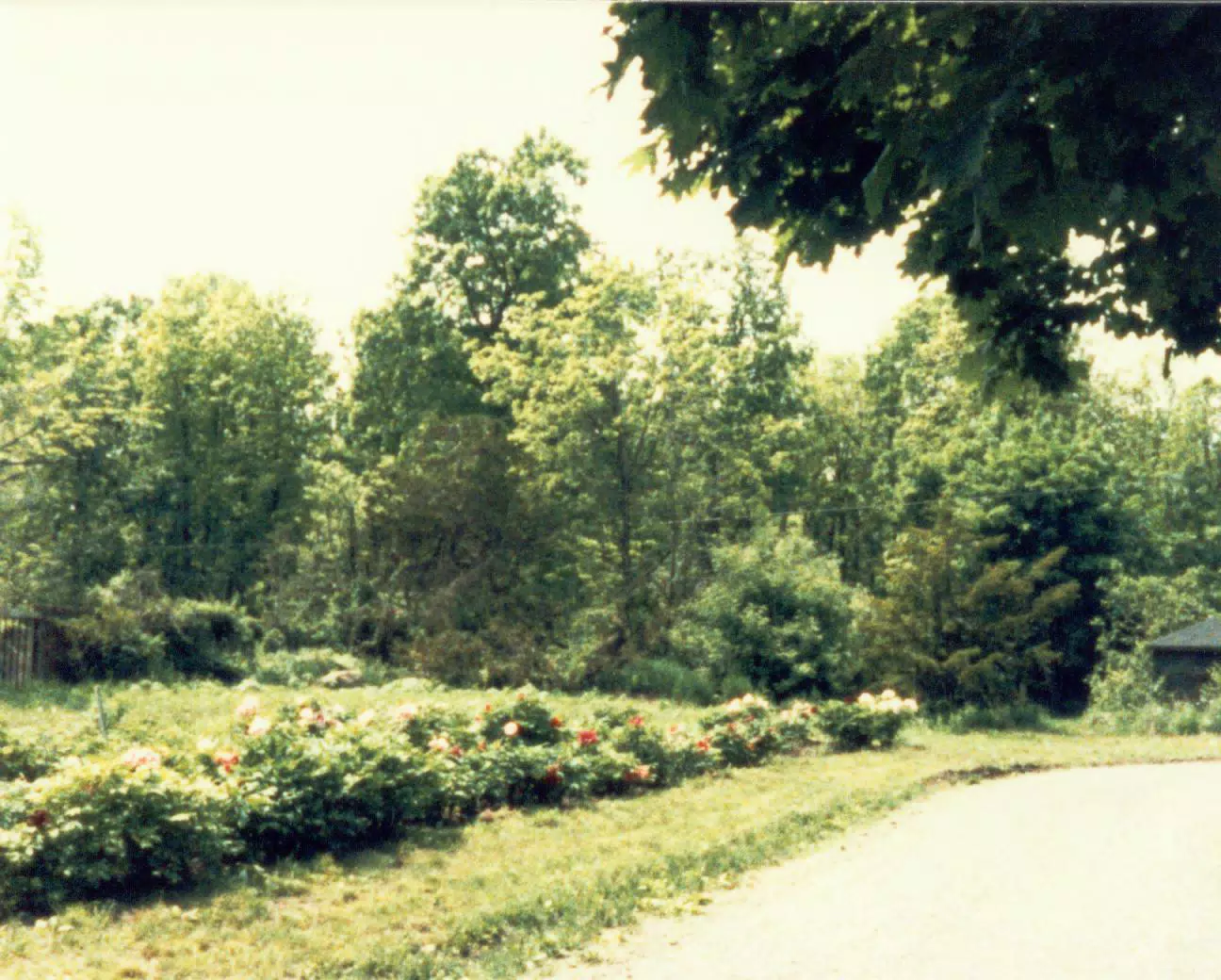 Gardens on Gratwick Estate