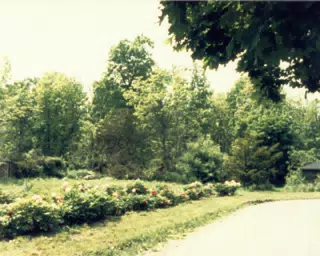 Gardens on Gratwick Estate