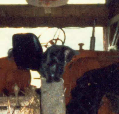 Cat on Manure Spreader