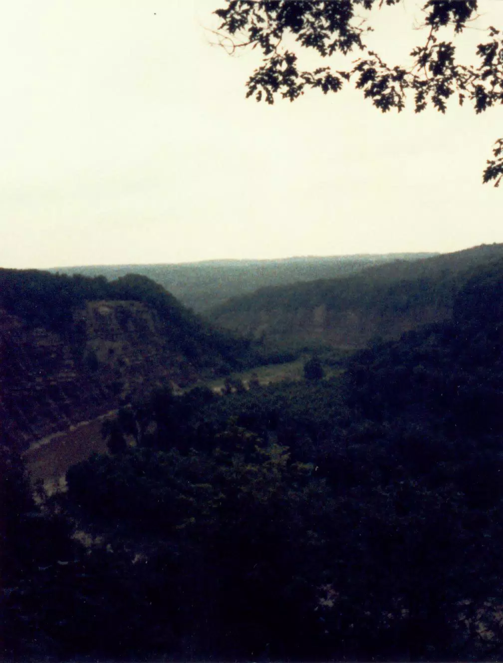 Letchworth Gorge and Genesee River