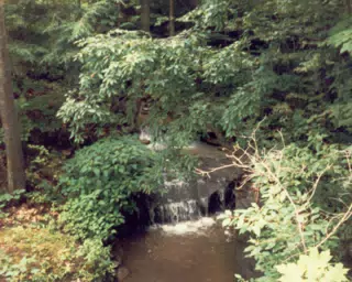 Waterfall in Letchworth State Park
