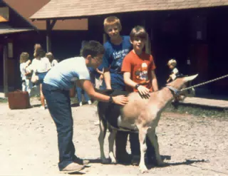 Scott Alan Miller, Tim Kelley and Jonathan Stagno Petting a Goat