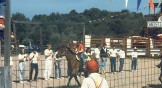 Jonathan Stagno Riding the Rodeo