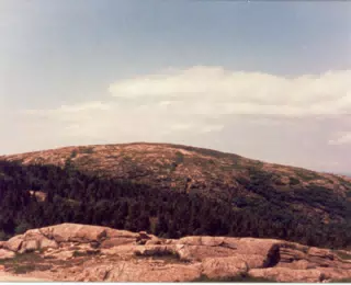 Unkown 219