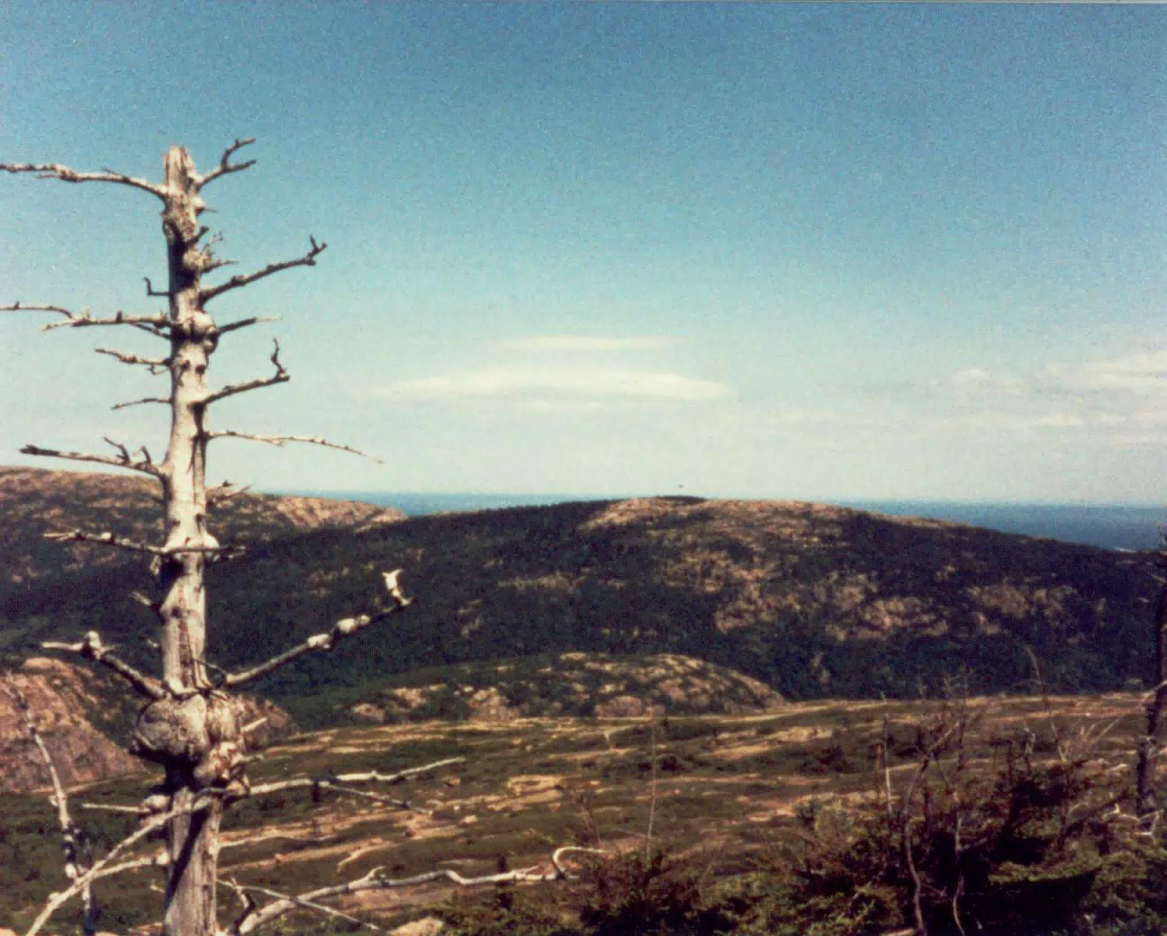 Acadia National Park, Mount Desert Island, Maine 1984