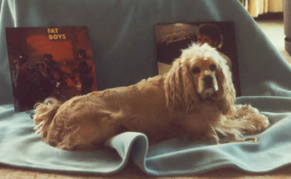 Buffer the "Punky Puppy"