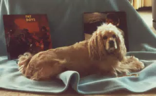 Buffer the "Punky Puppy"