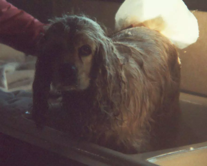 Buffer Getting a Bath