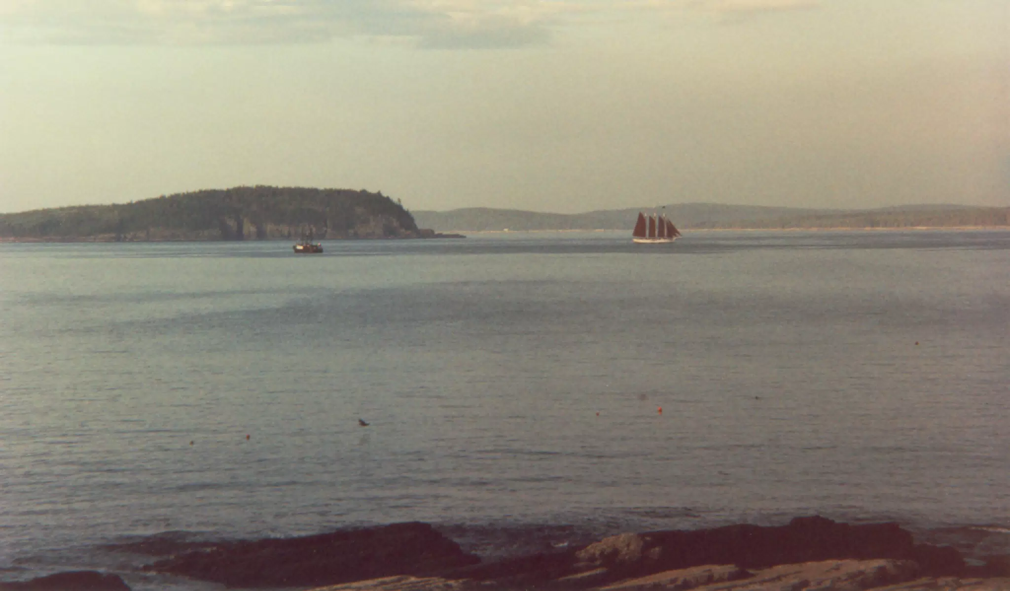 Sail Boat off of Mt. Desert Island, Maine