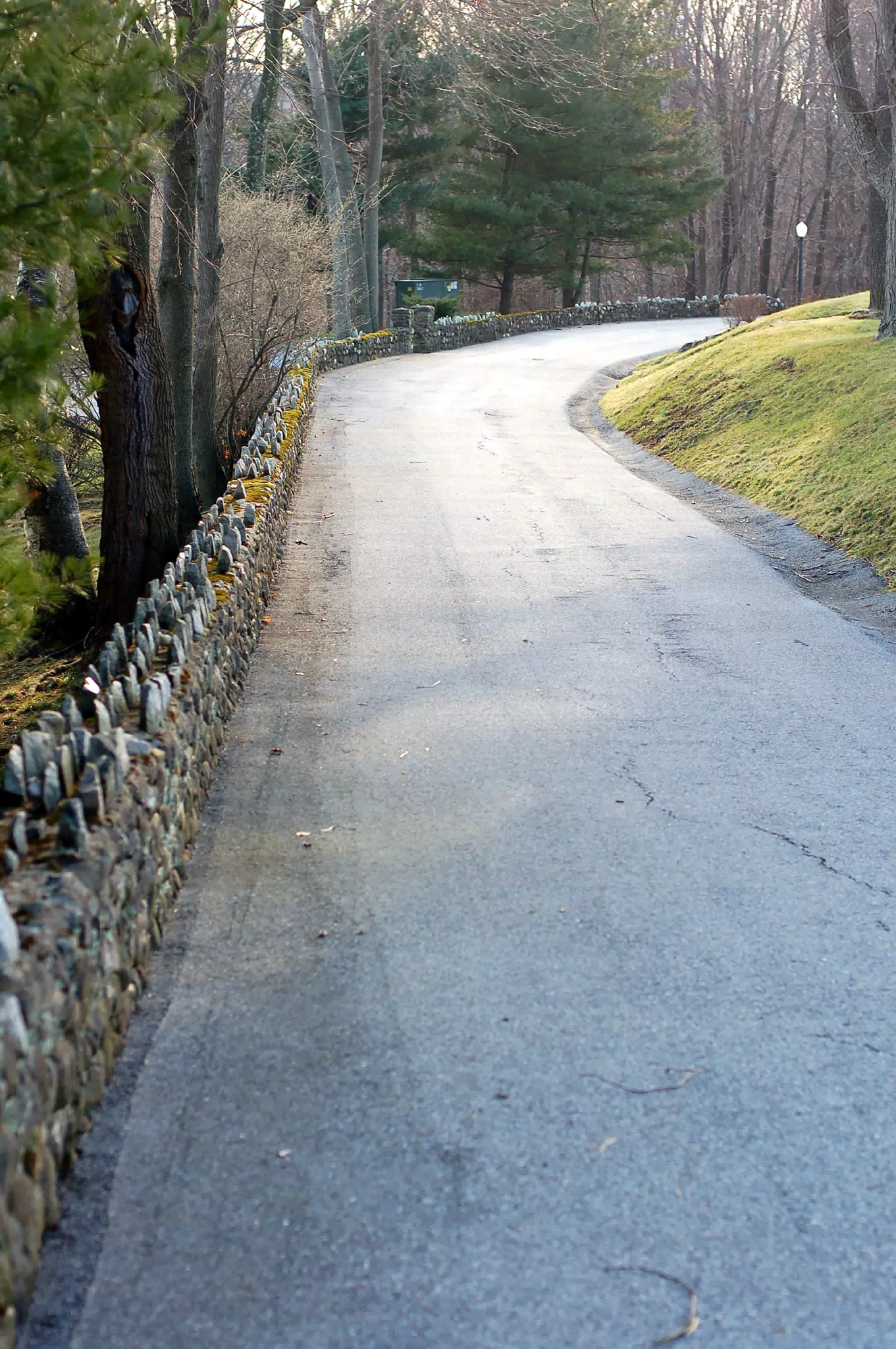 Road and Stone Hedge at Chapel Hill