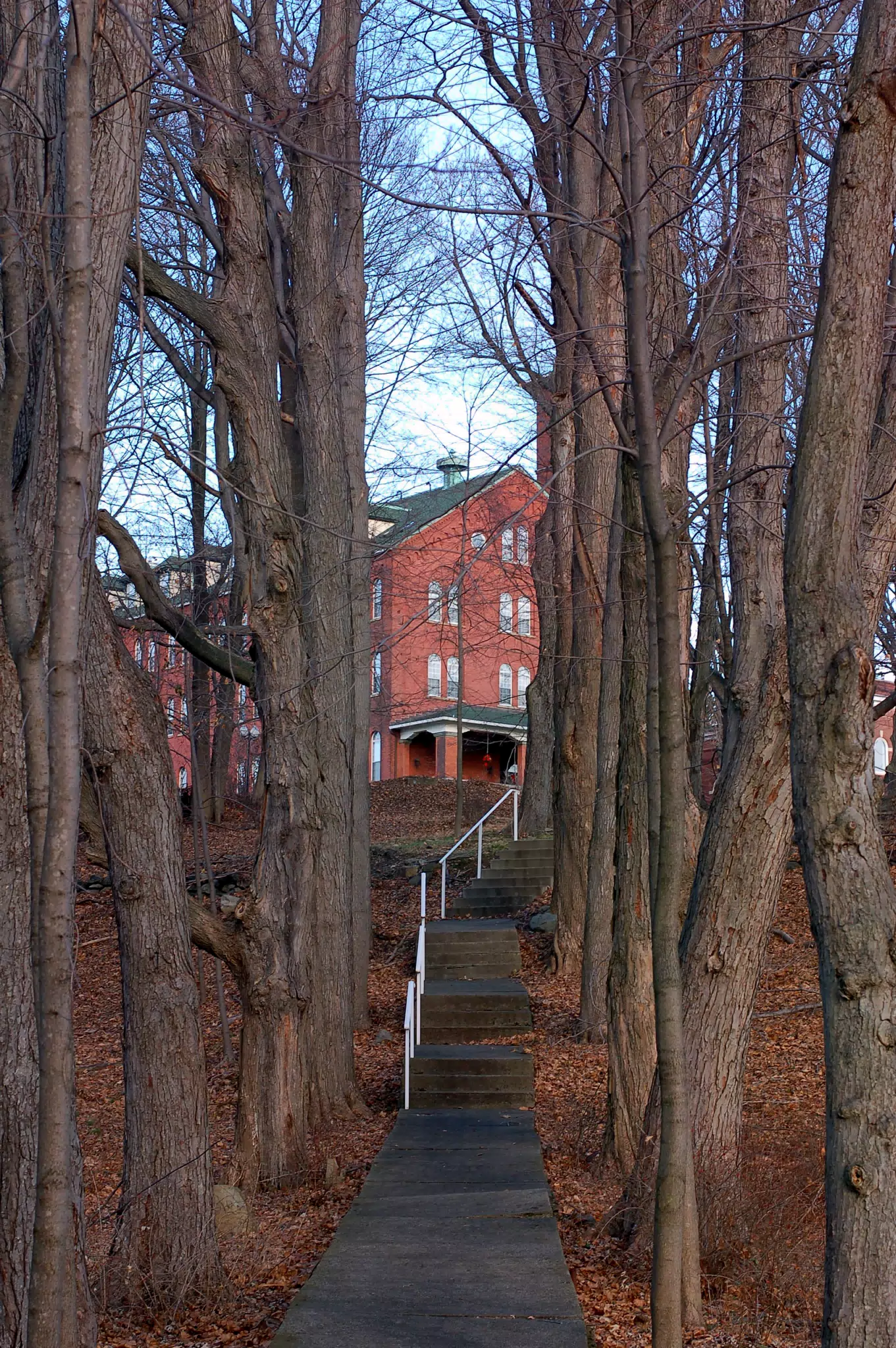 Looking up Path Towards the Condos at Chapel Hill