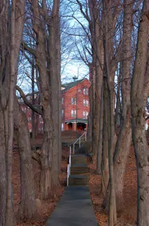 Looking up Path Towards the Condos at Chapel Hill