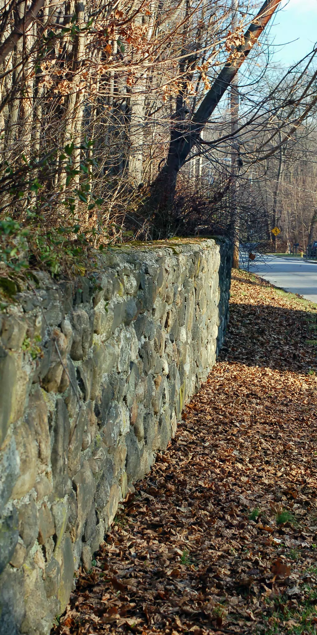 Stone Barrier at Chapel Hill against Maple
