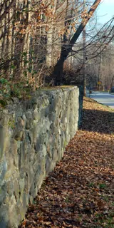 Stone Barrier at Chapel Hill against Maple