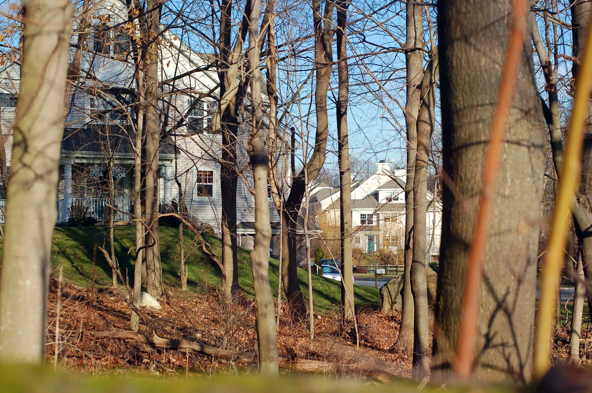 Chapel Hill Homes from Maple Avenue