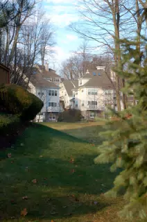 Hillside Seen from Meadows at Chapel Hill