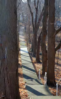Path in Chapel Hill