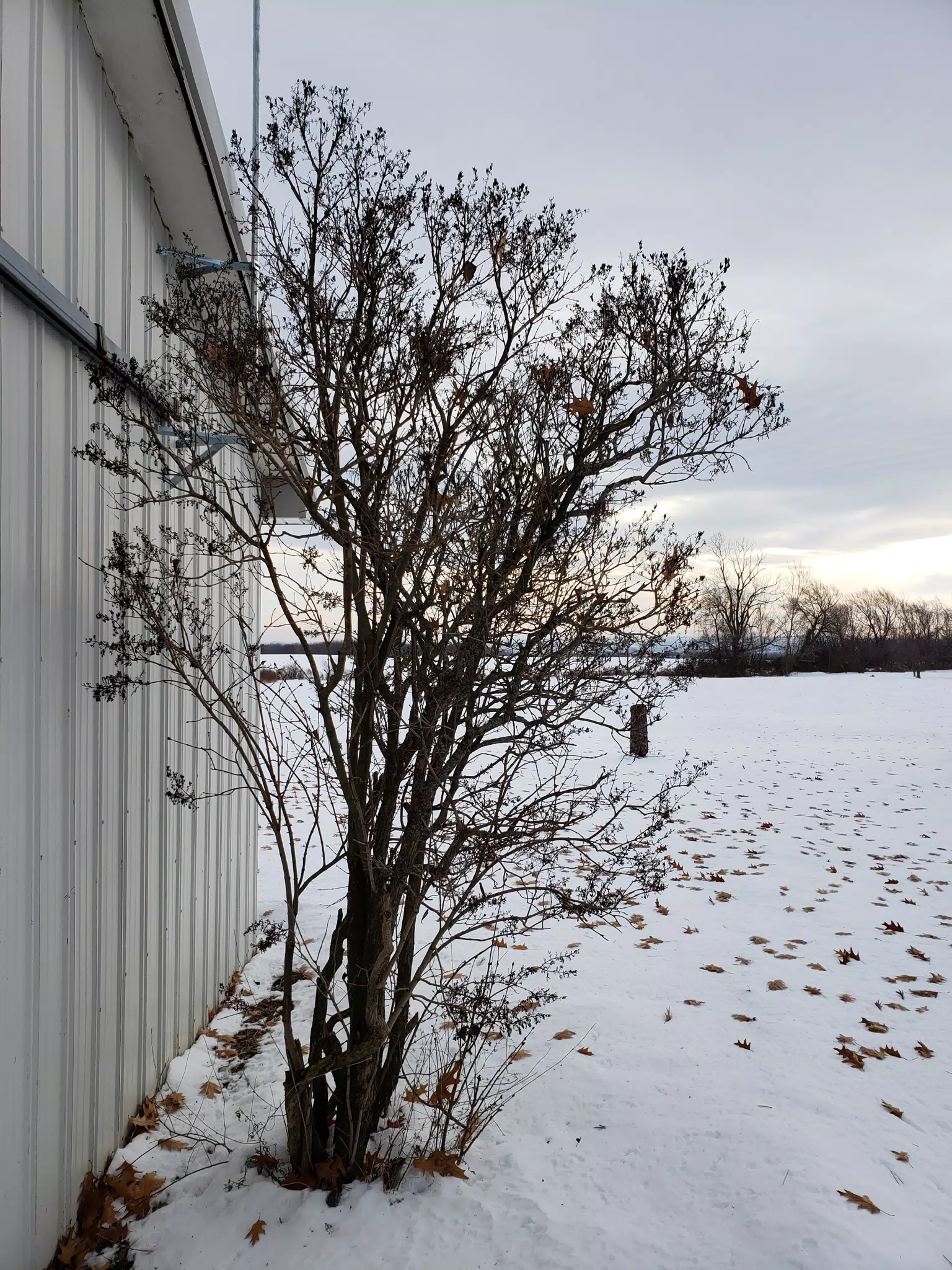 20181124_091420