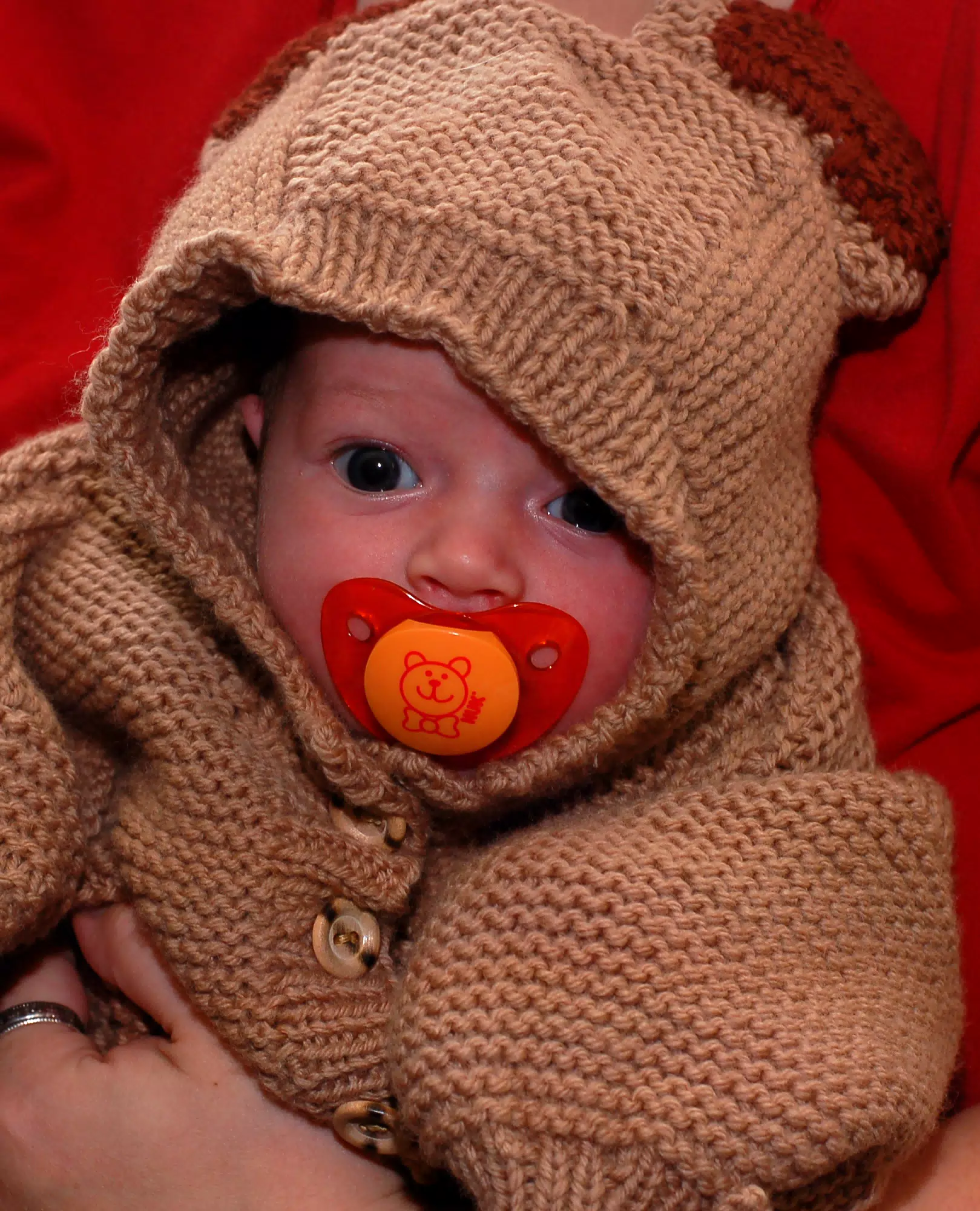 Liesl in Her Bear Outfit