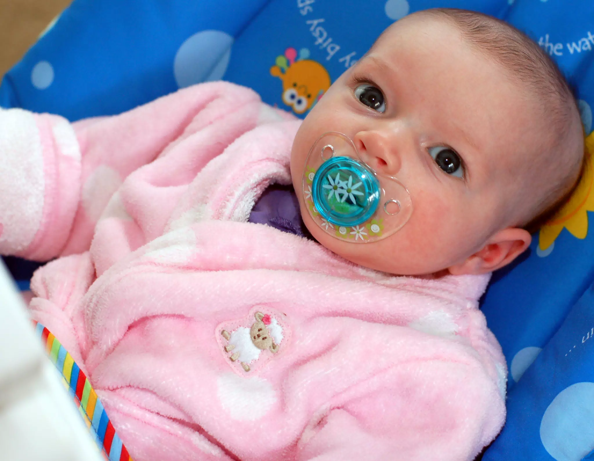 Liesl Lounging in Her Bouncer