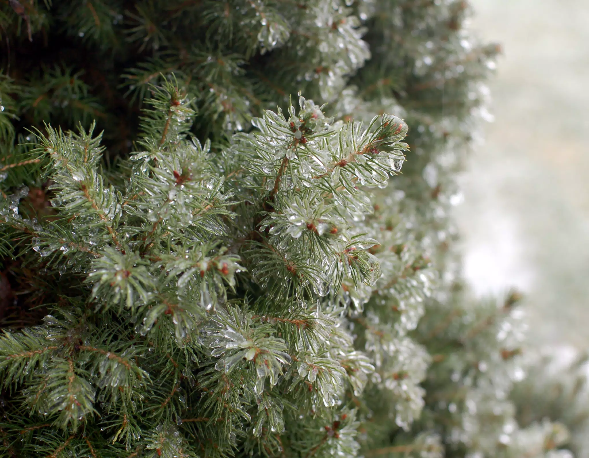 Peekskill Freezing Rain