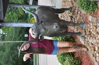Brunette Model in Denim Miniskirt with Longhorn in Texas