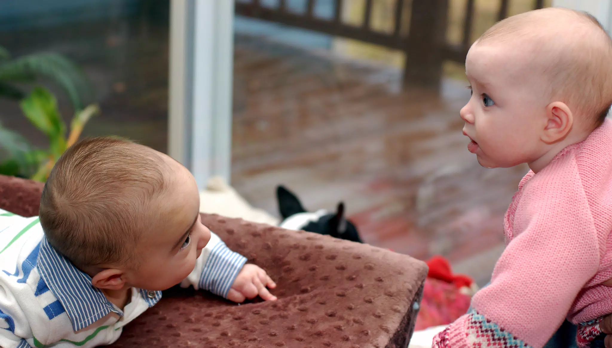 Liesl Meets Landen