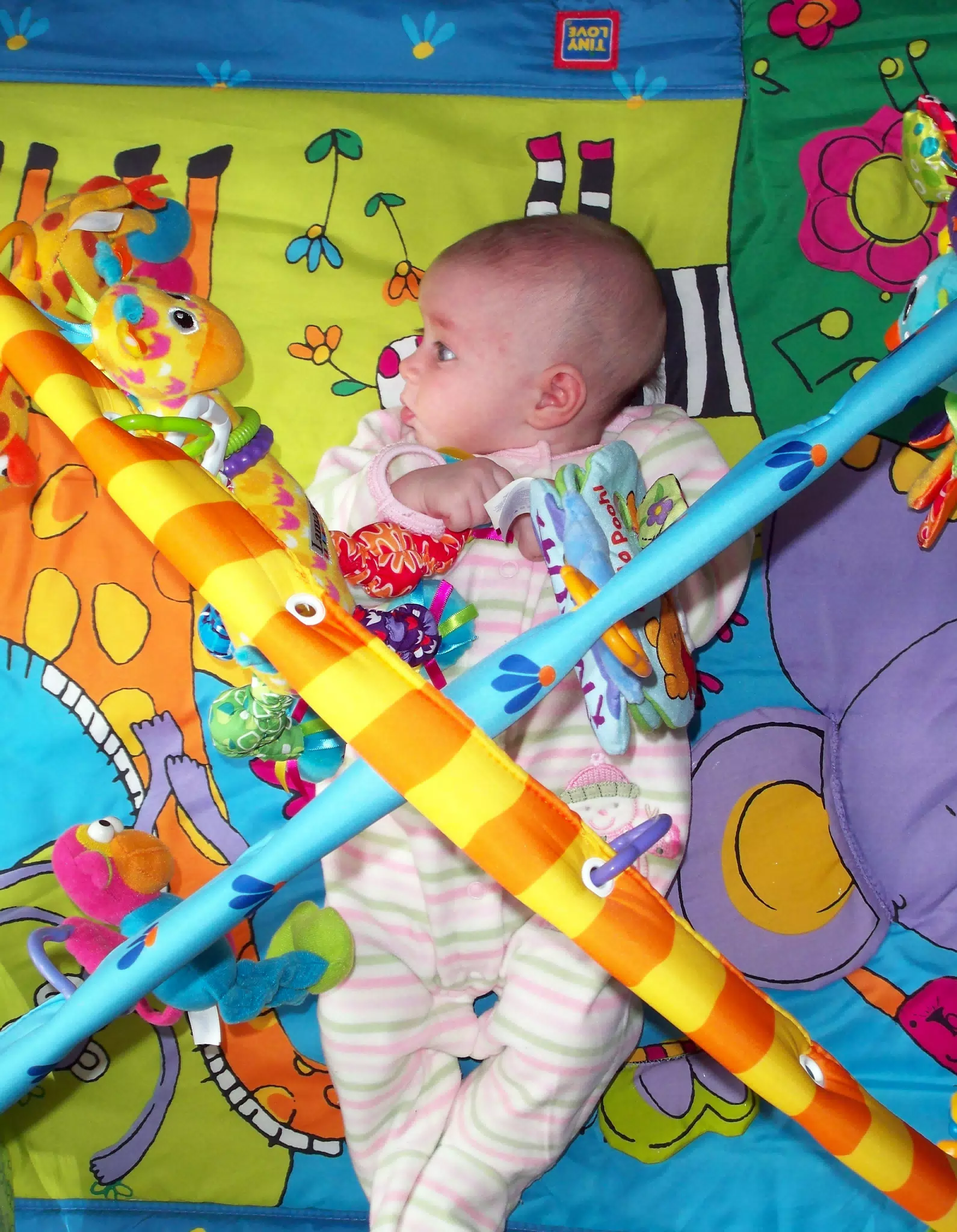 Liesls Playmat