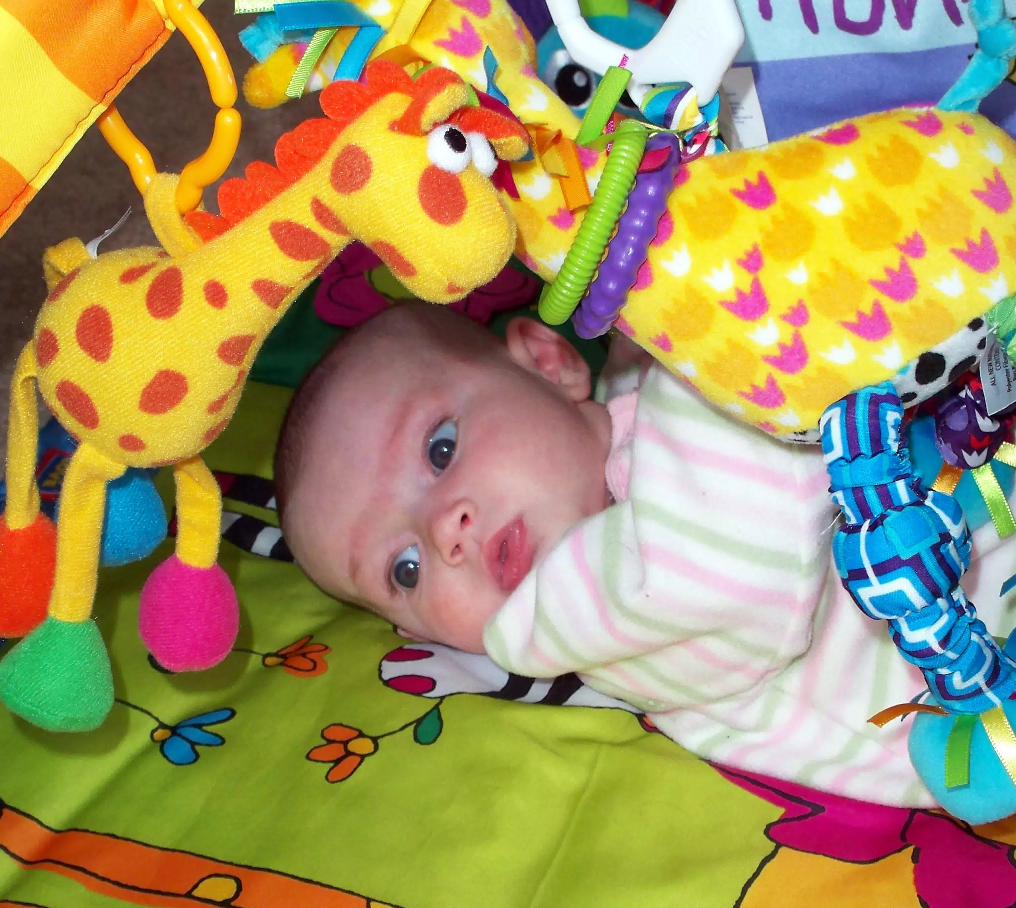 Liesl Beneath the Hanging Animals
