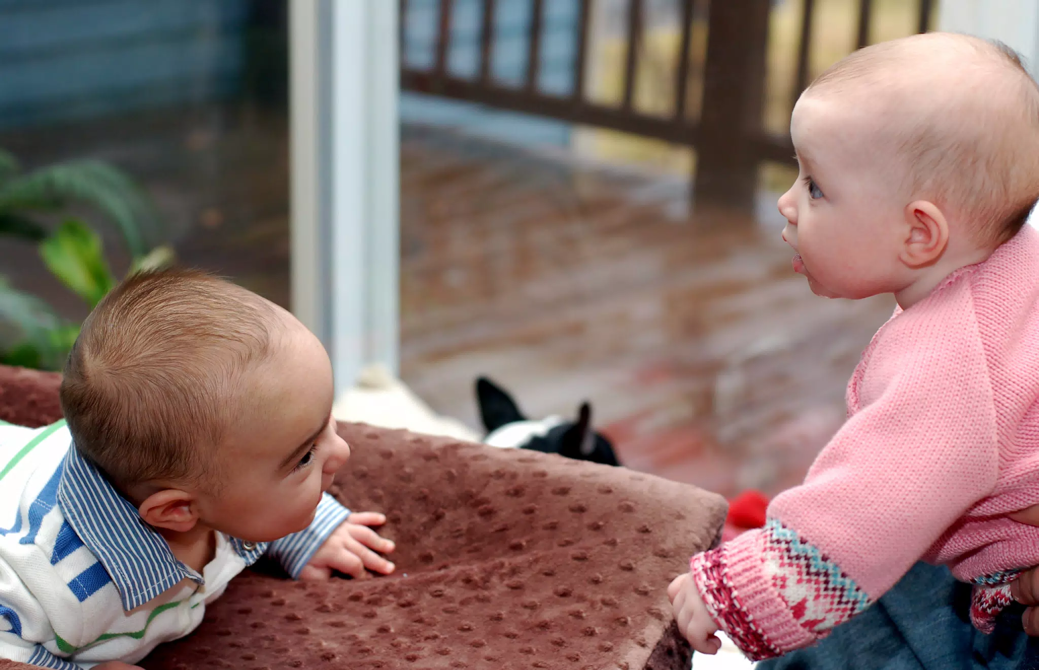 Liesl Meets Landen