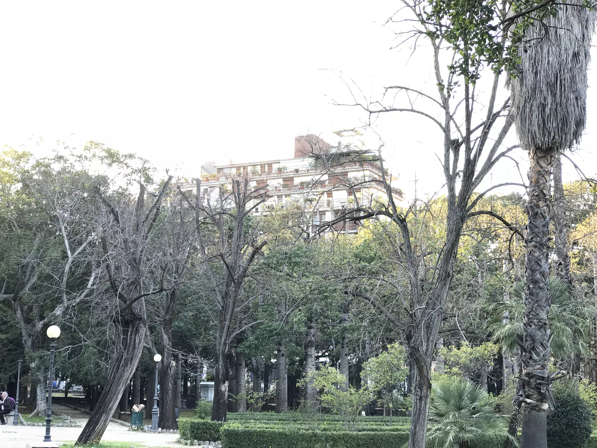 From the Villa in Palermo
