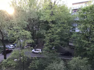 Final bedroom window view.