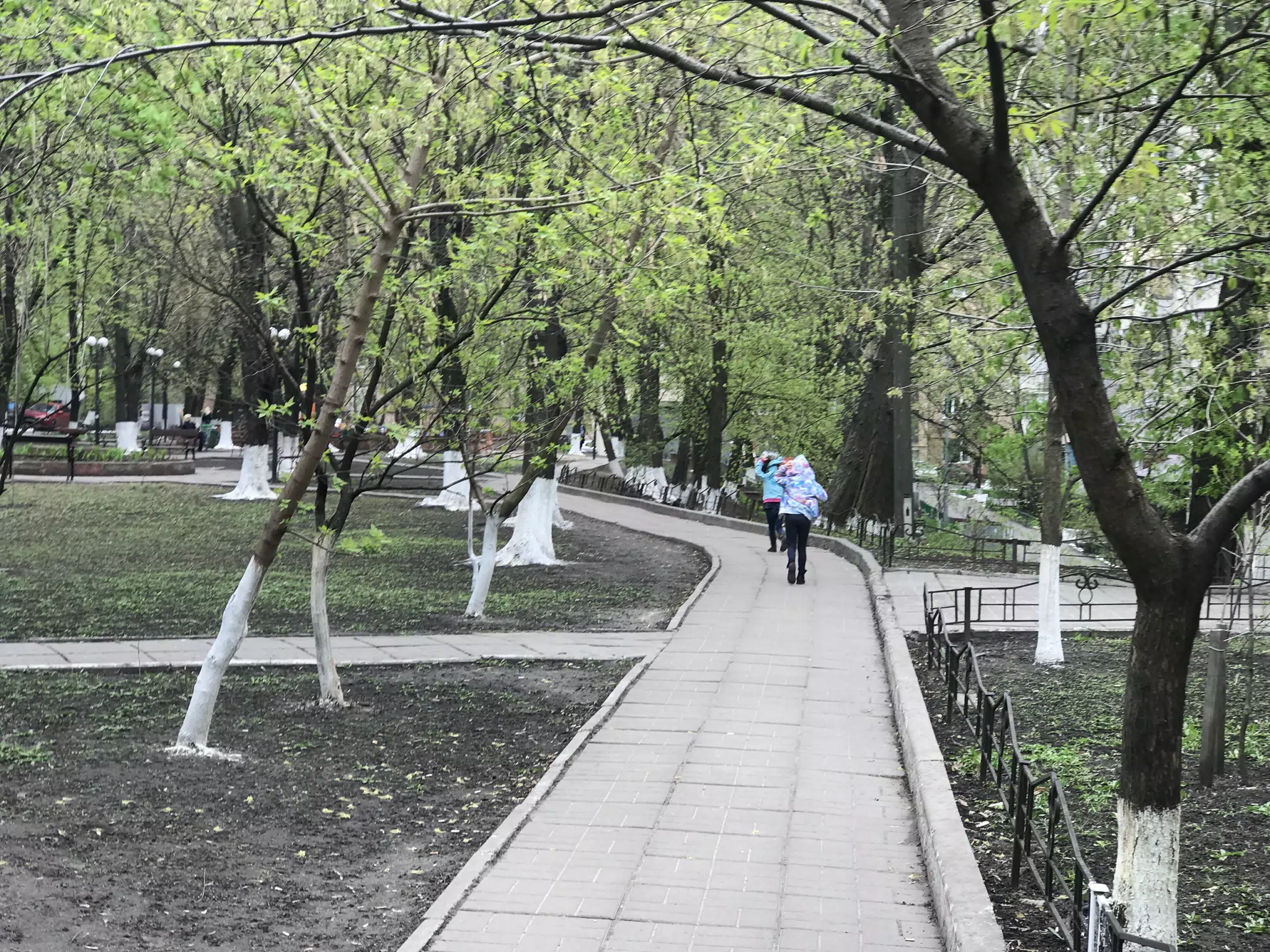 The Girls Walking in the Park in Kiev