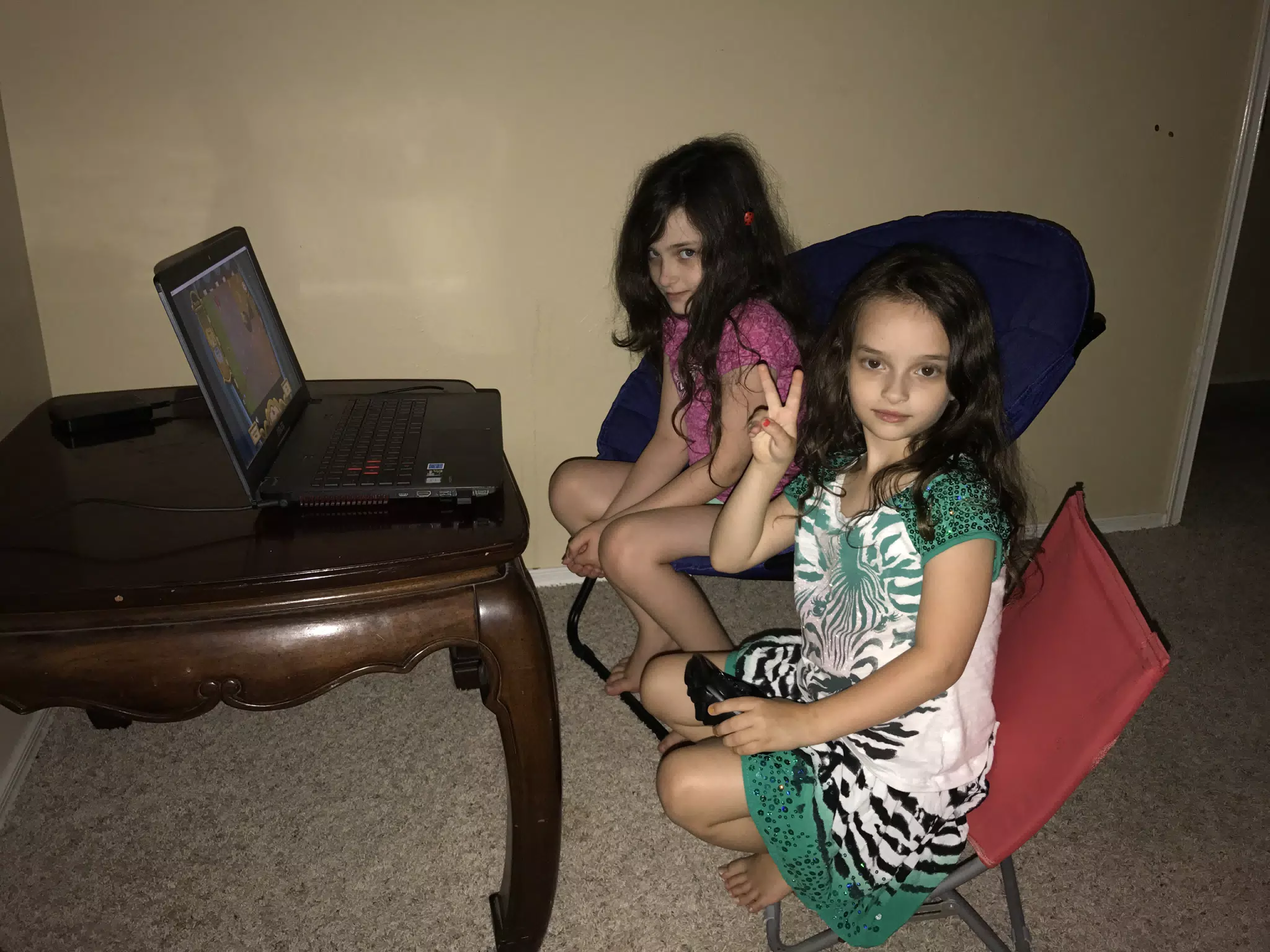 Video Gamers