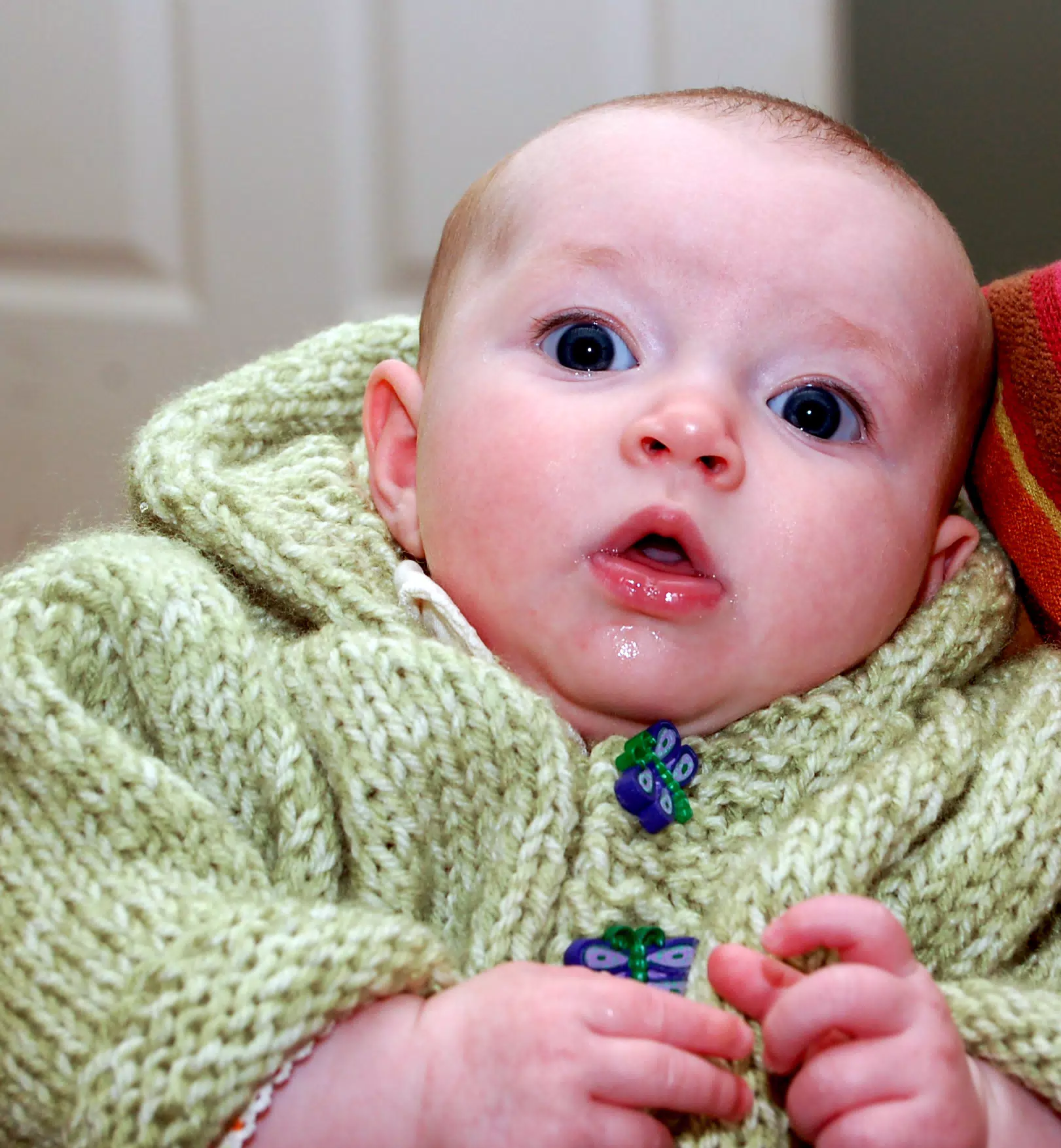 Liesl in Green Dragonfly Sweater-1