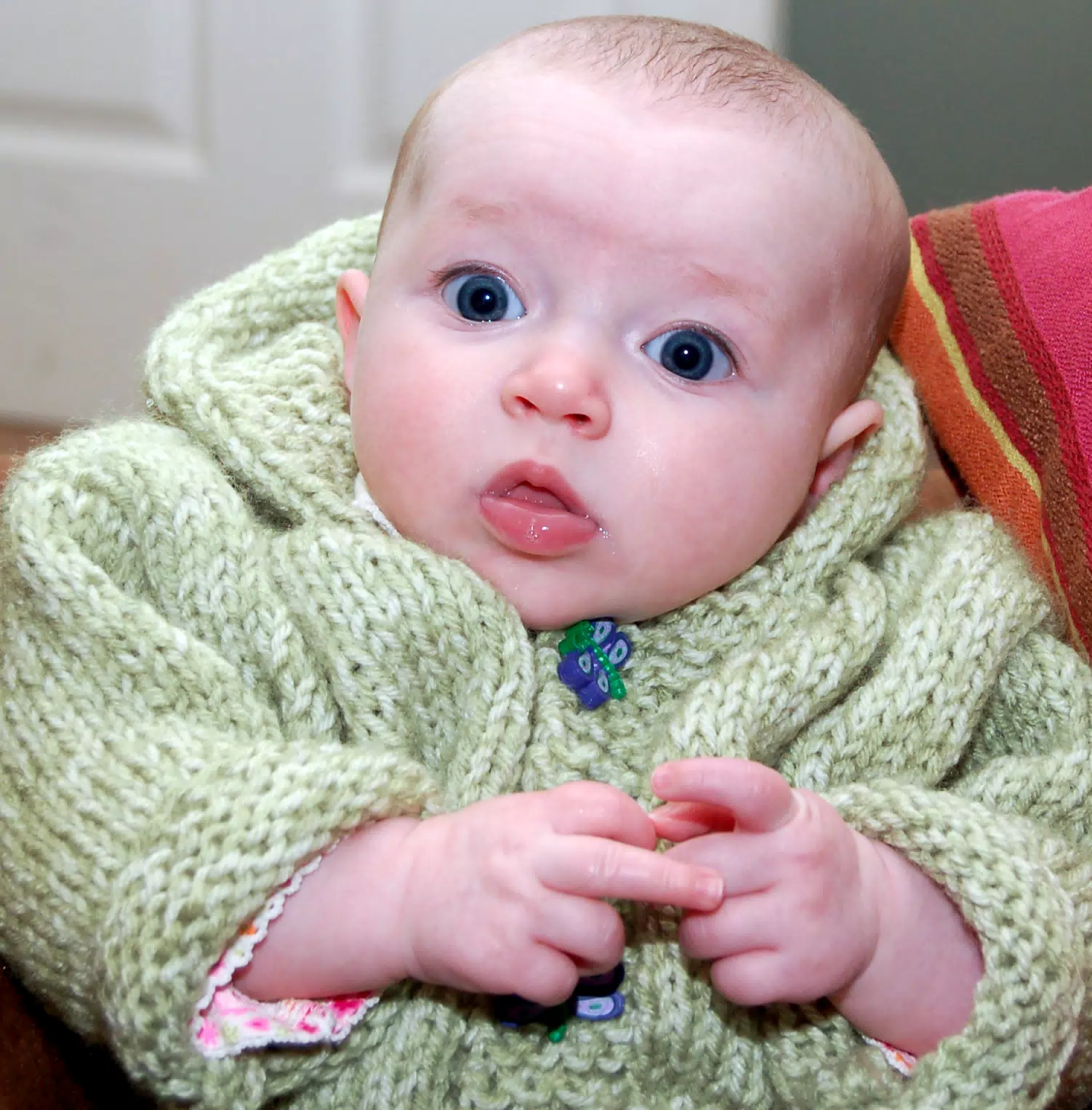 Liesl in Green Dragonfly Sweater