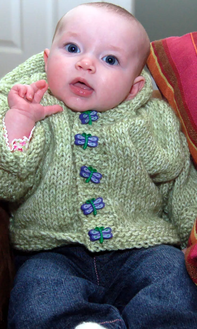 Liesl in Green Dragonfly Sweater-2
