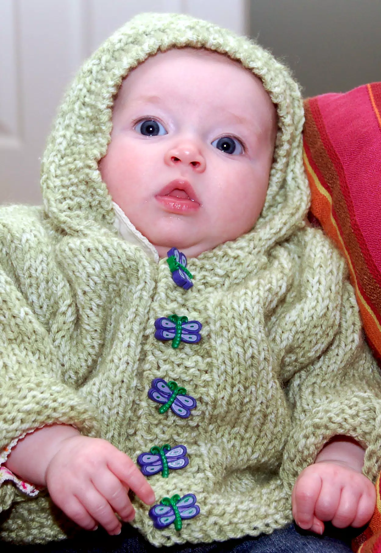 Liesl in Green Sweater and Hood
