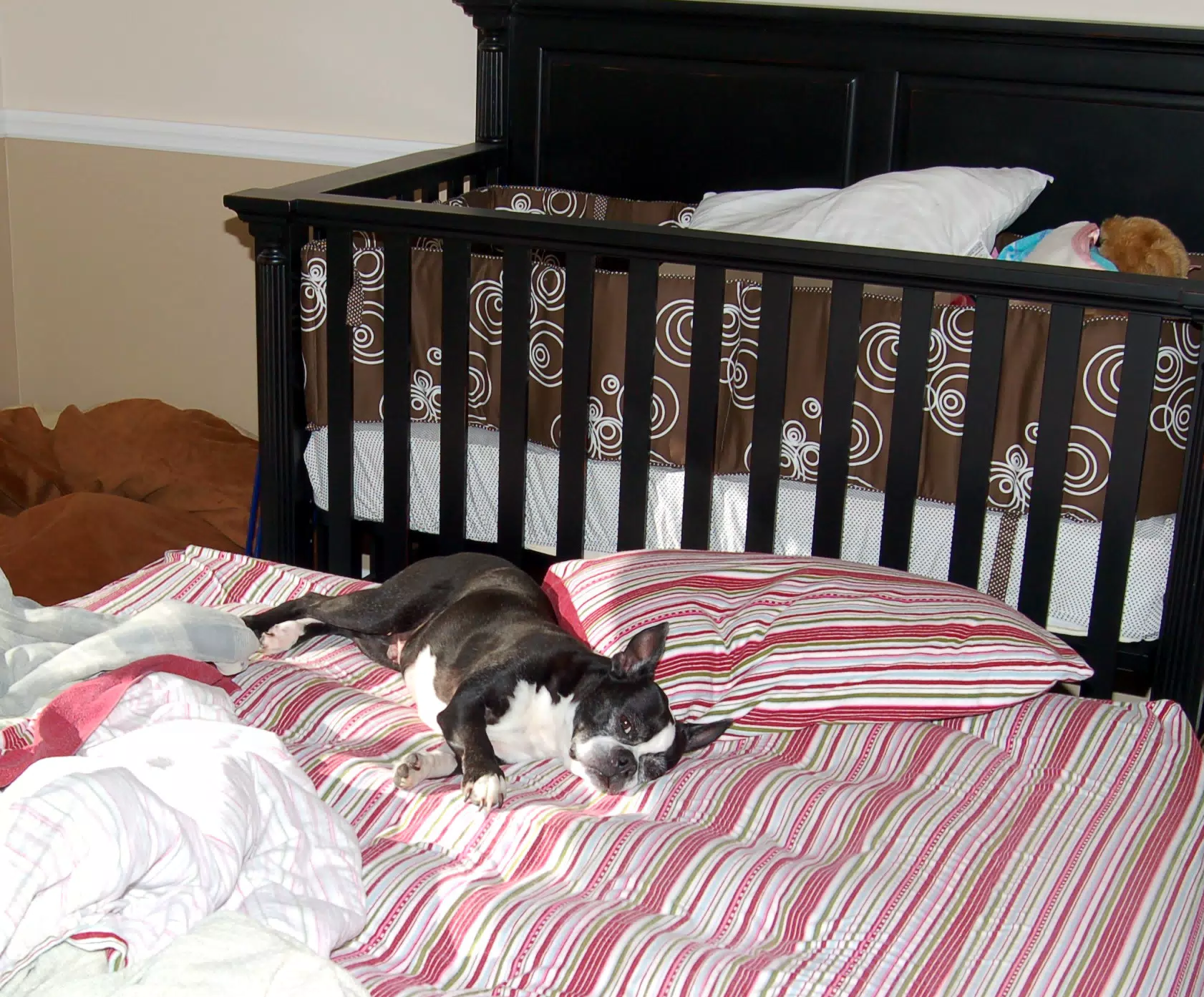 Oreo Takes Over the Nursery