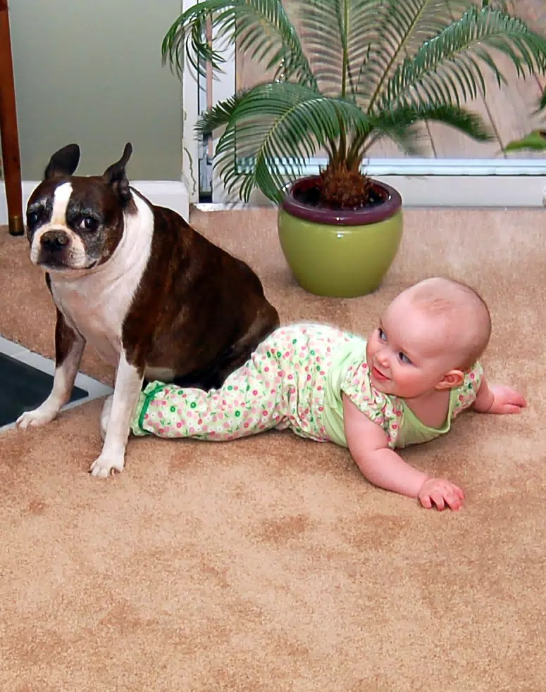 Dexter Sits on Liesl
