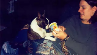 Dominica and Dexter