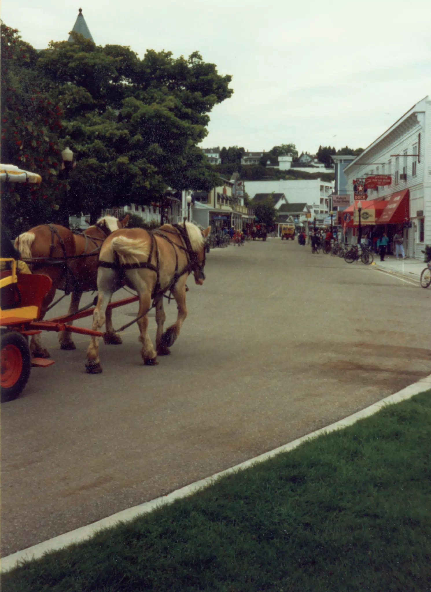 MiscScans 029