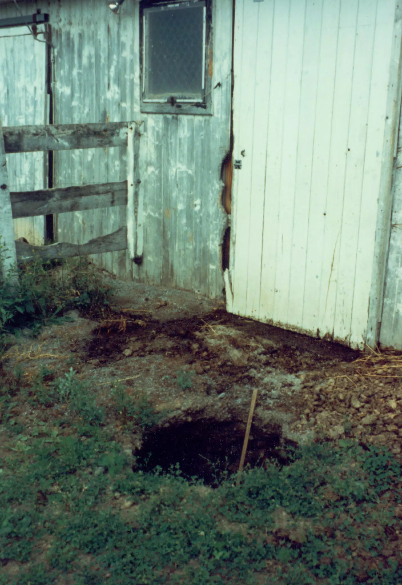 MiscScans 044
