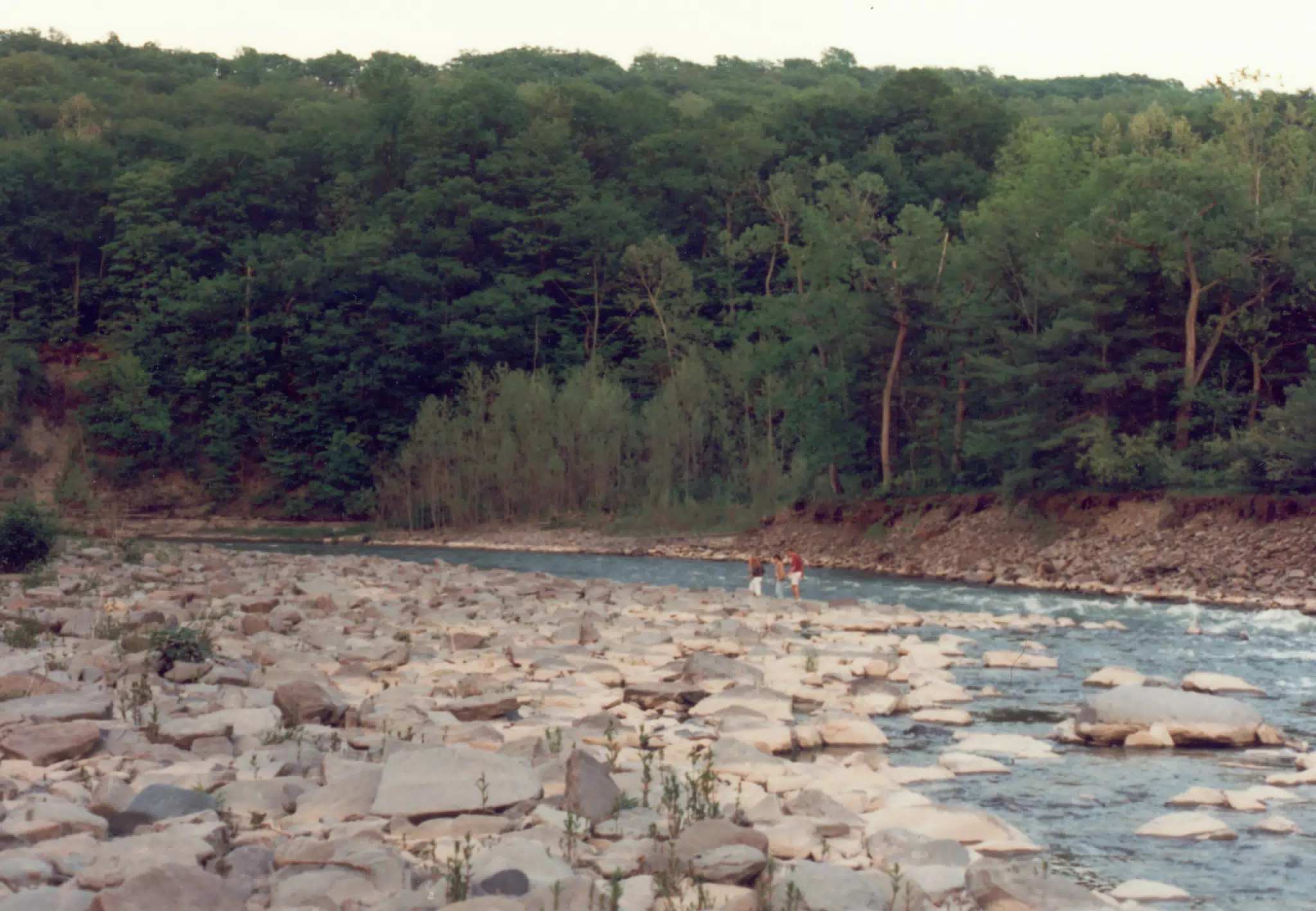 MiscScans 197