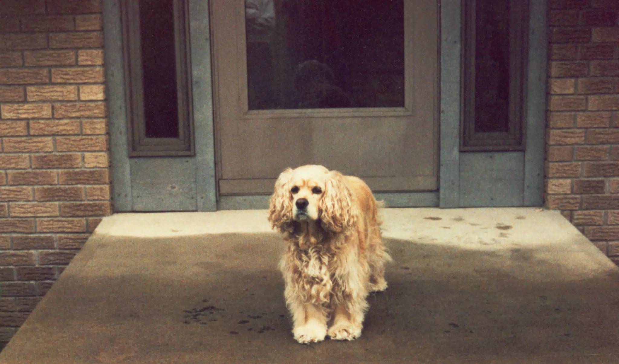 MiscScans 256