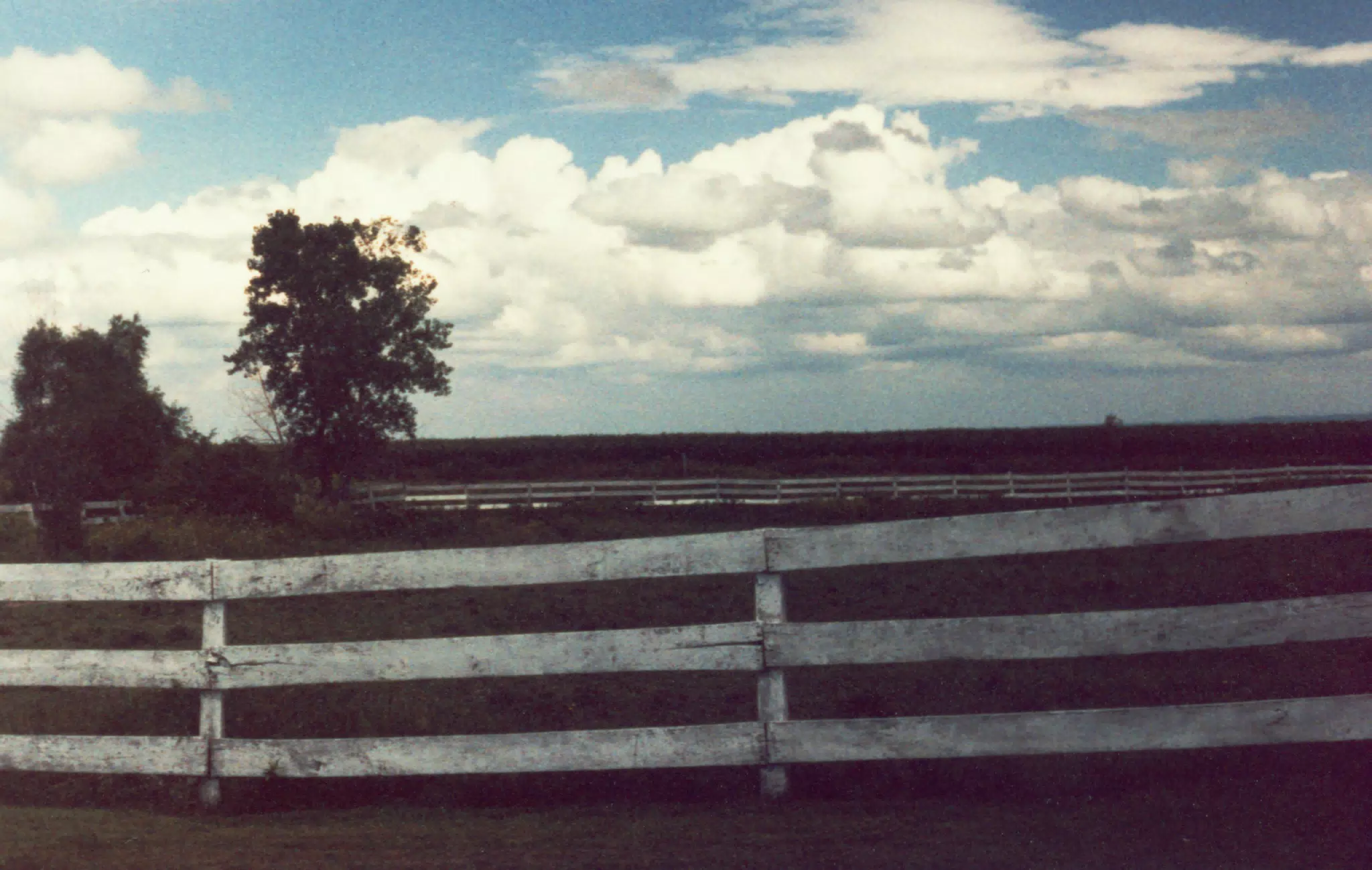 MiscScans 271