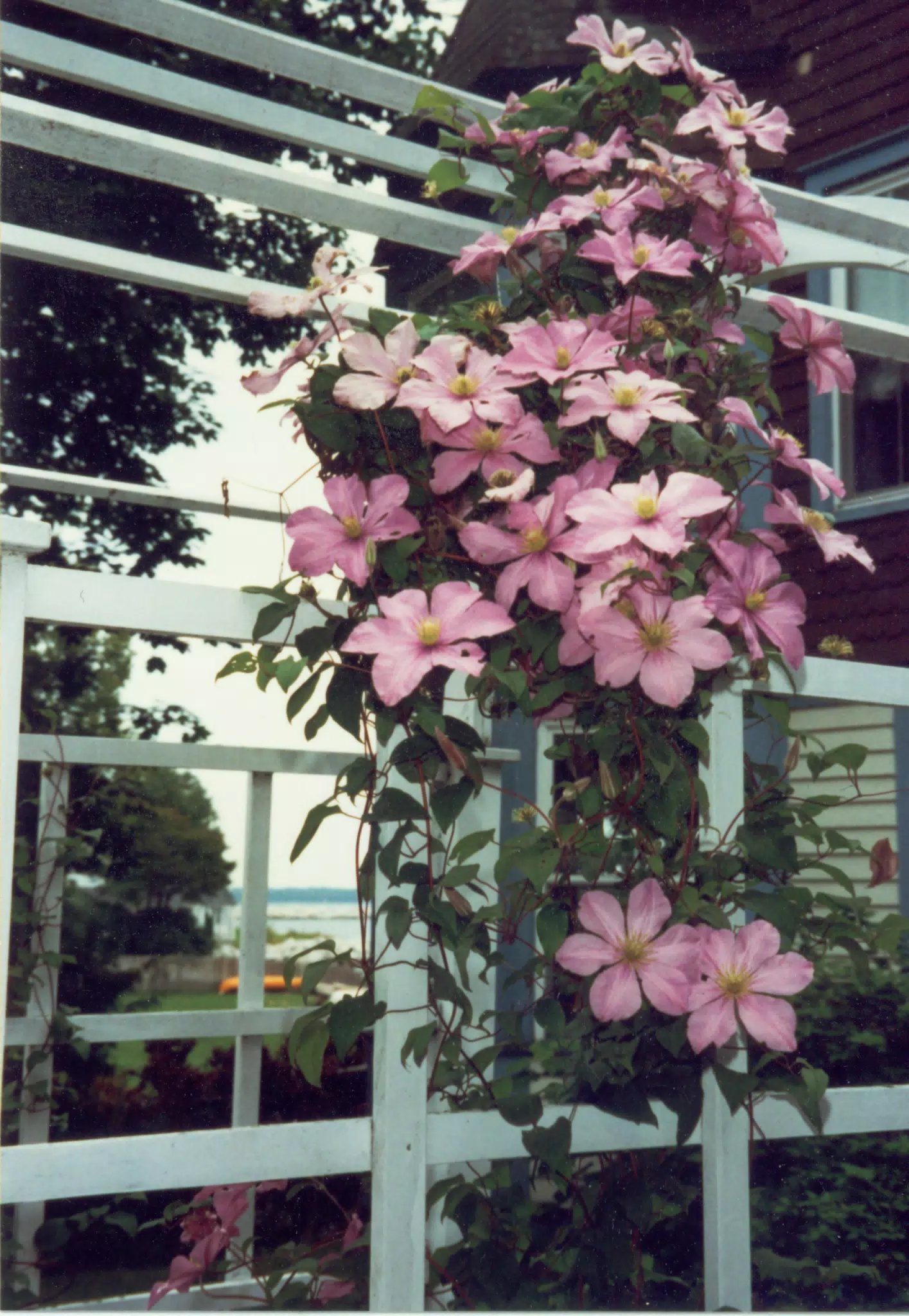 MiscScans 034